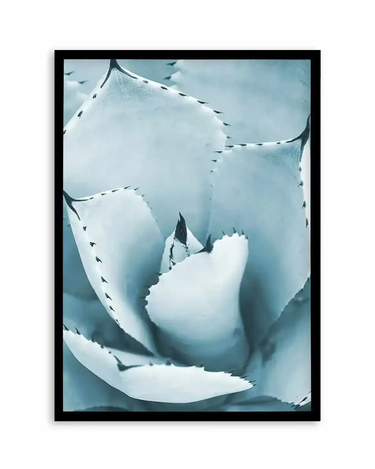 Succulent II | PT Art Print from Olive et Oriel where you can shop wallpaper and artworks online