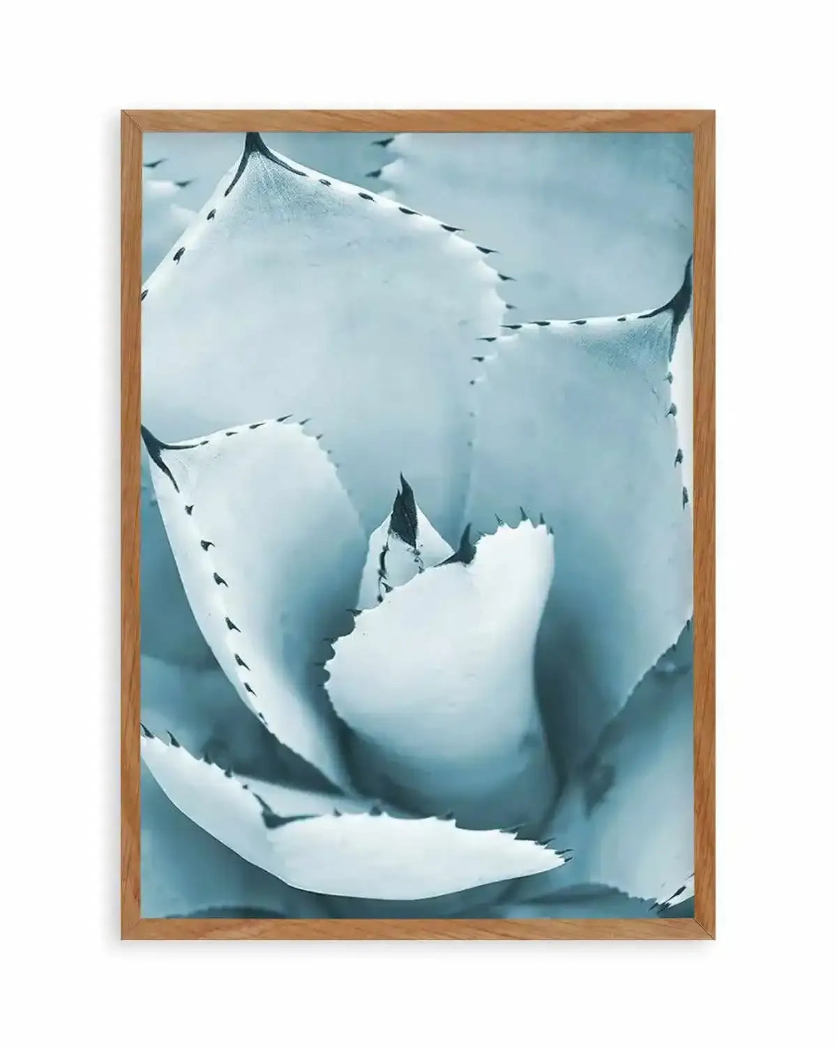 Succulent II | PT Art Print from Olive et Oriel where you can shop wallpaper and artworks online