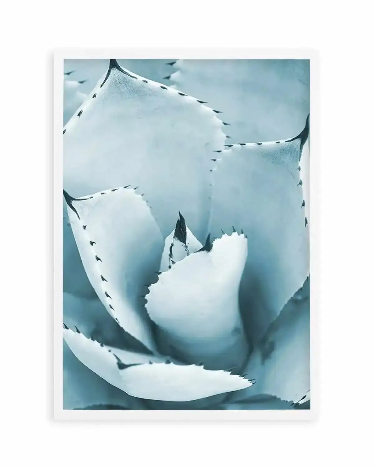 Succulent II | PT Art Print from Olive et Oriel where you can shop wallpaper and artworks online