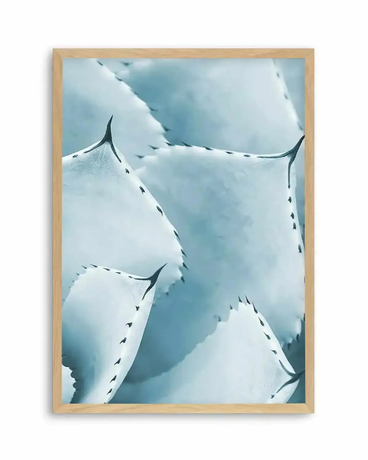 Succulent III | PT Art Print from Olive et Oriel where you can shop wallpaper and artworks online