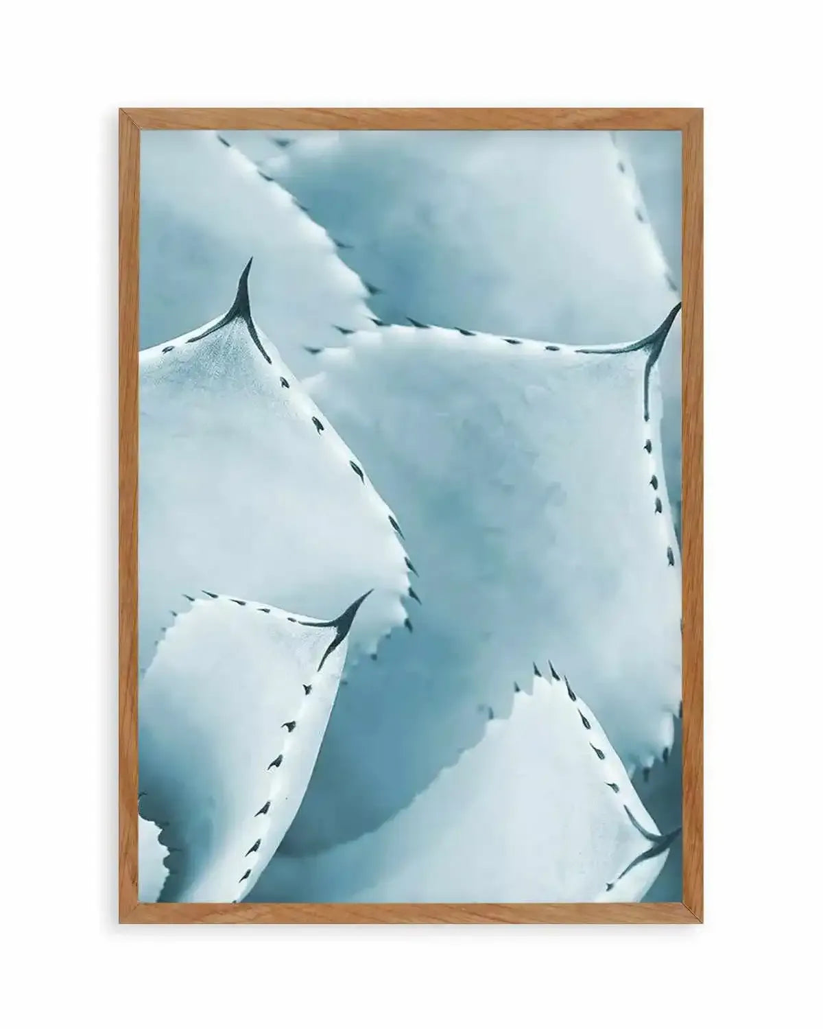 Succulent III | PT Art Print from Olive et Oriel where you can shop wallpaper and artworks online