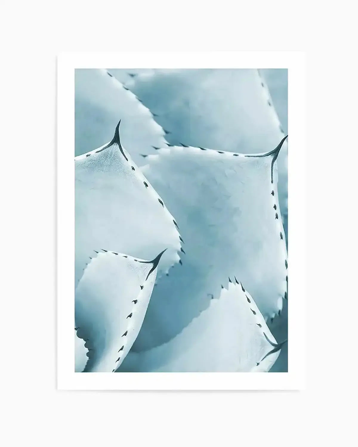 Succulent III | PT Art Print from Olive et Oriel where you can shop wallpaper and artworks online
