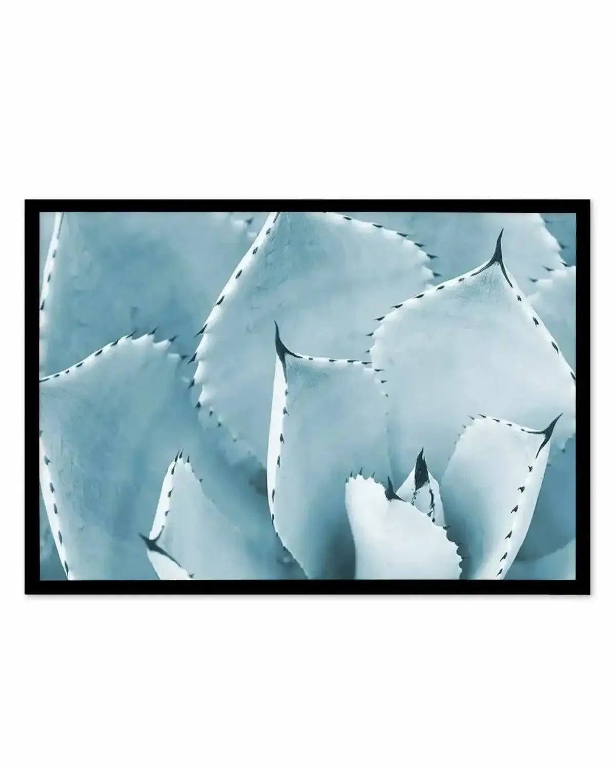 Succulent | LS Art Print from Olive et Oriel where you can shop wallpaper and artworks online