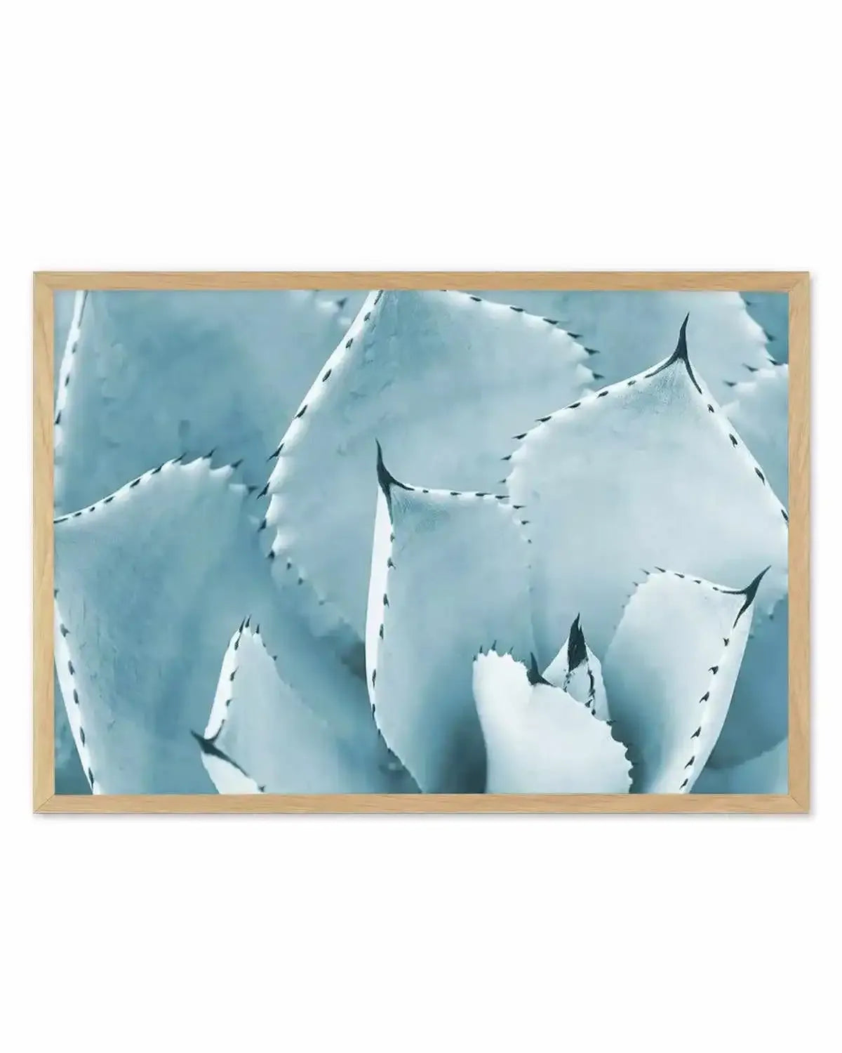 Succulent | LS Art Print from Olive et Oriel where you can shop wallpaper and artworks online