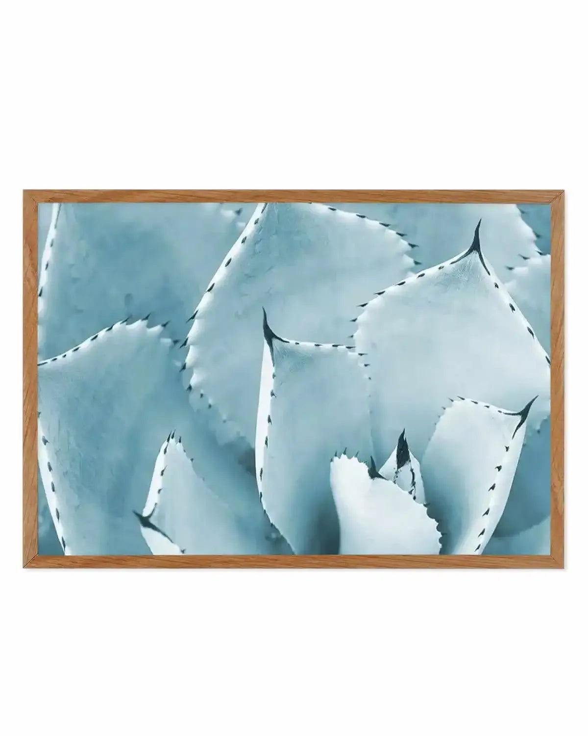 Succulent | LS Art Print from Olive et Oriel where you can shop wallpaper and artworks online