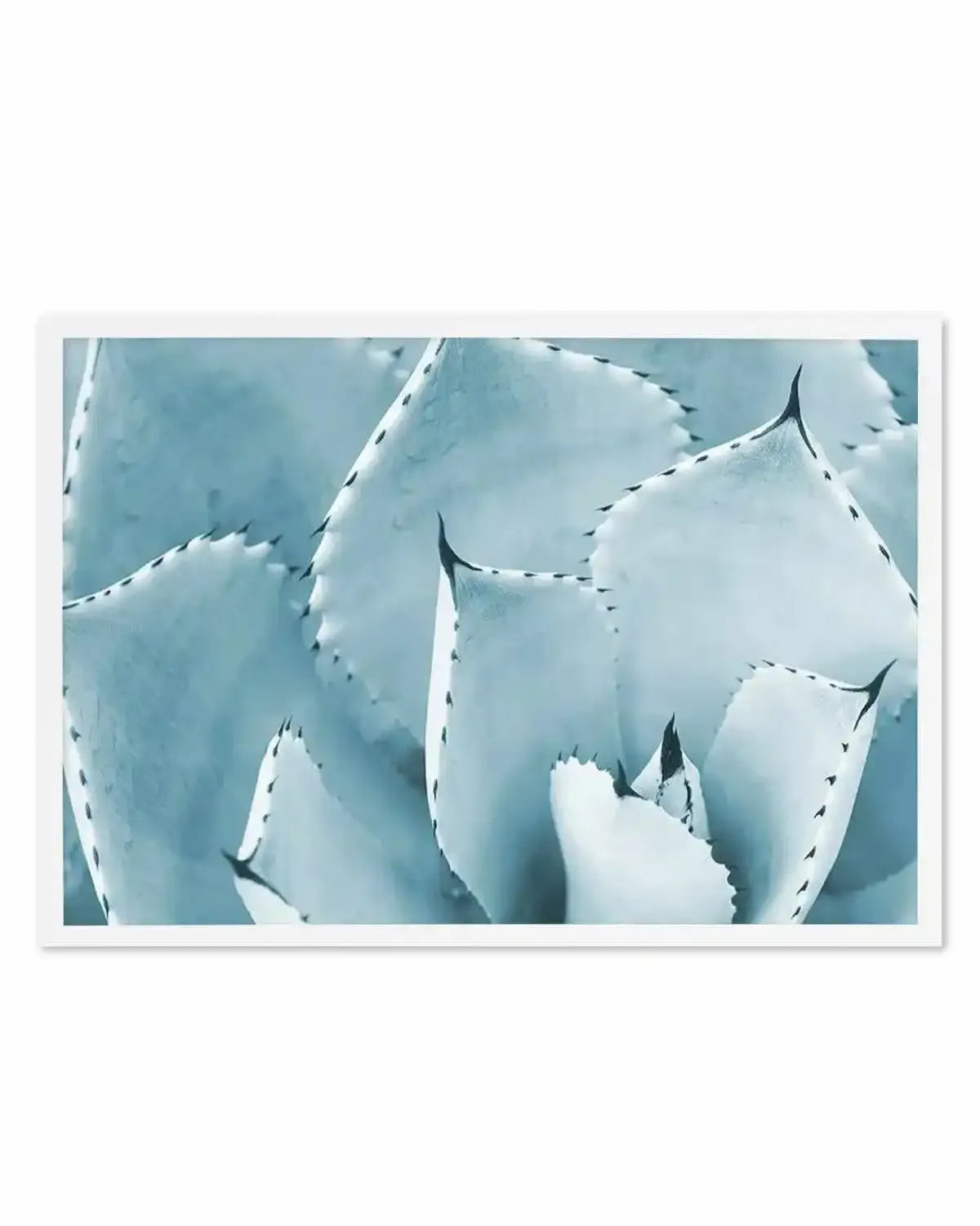 Succulent | LS Art Print from Olive et Oriel where you can shop wallpaper and artworks online