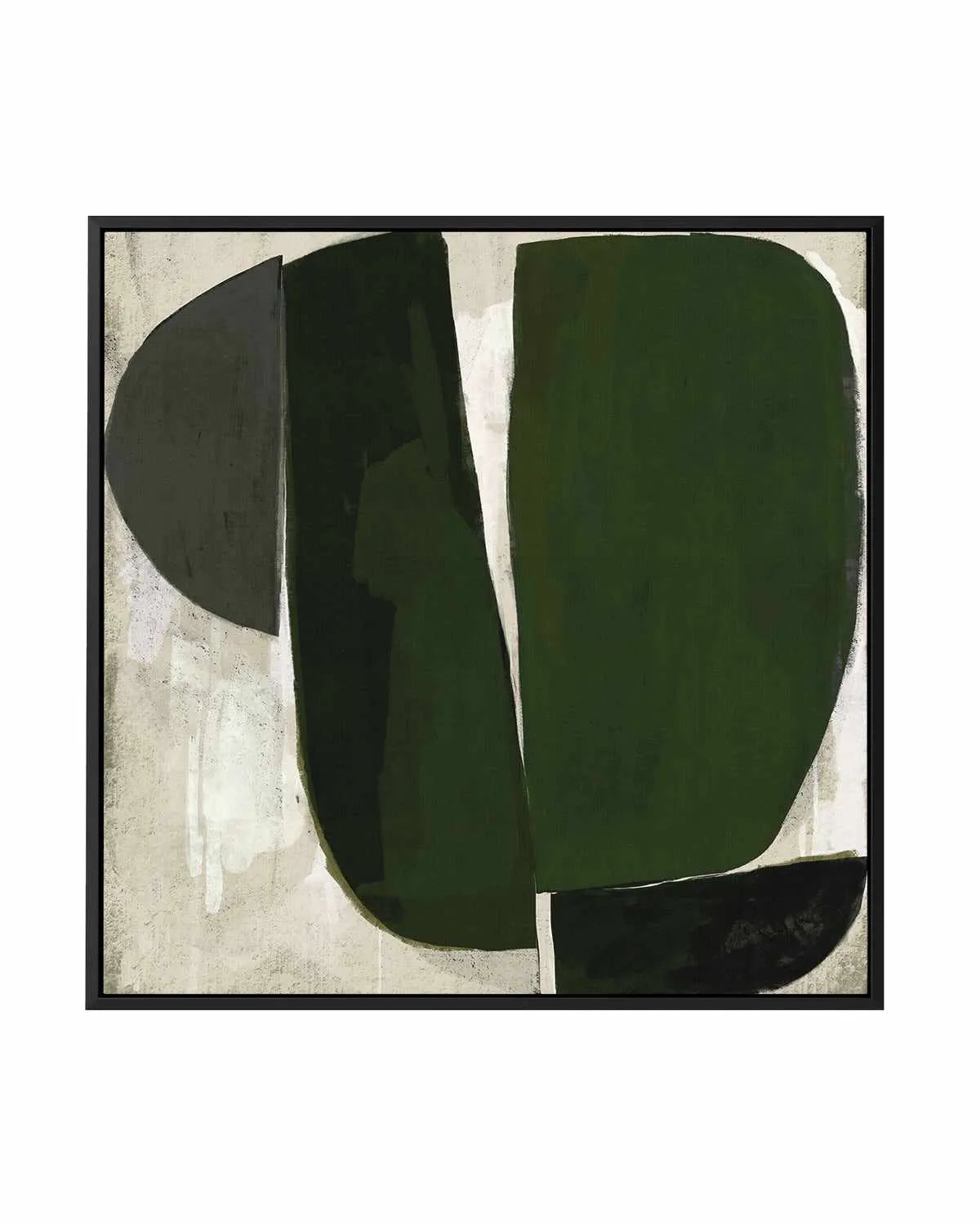 Succulent by Marco Marella | Framed Canvas Art Print from Olive et Oriel where you can shop wallpaper and artworks online