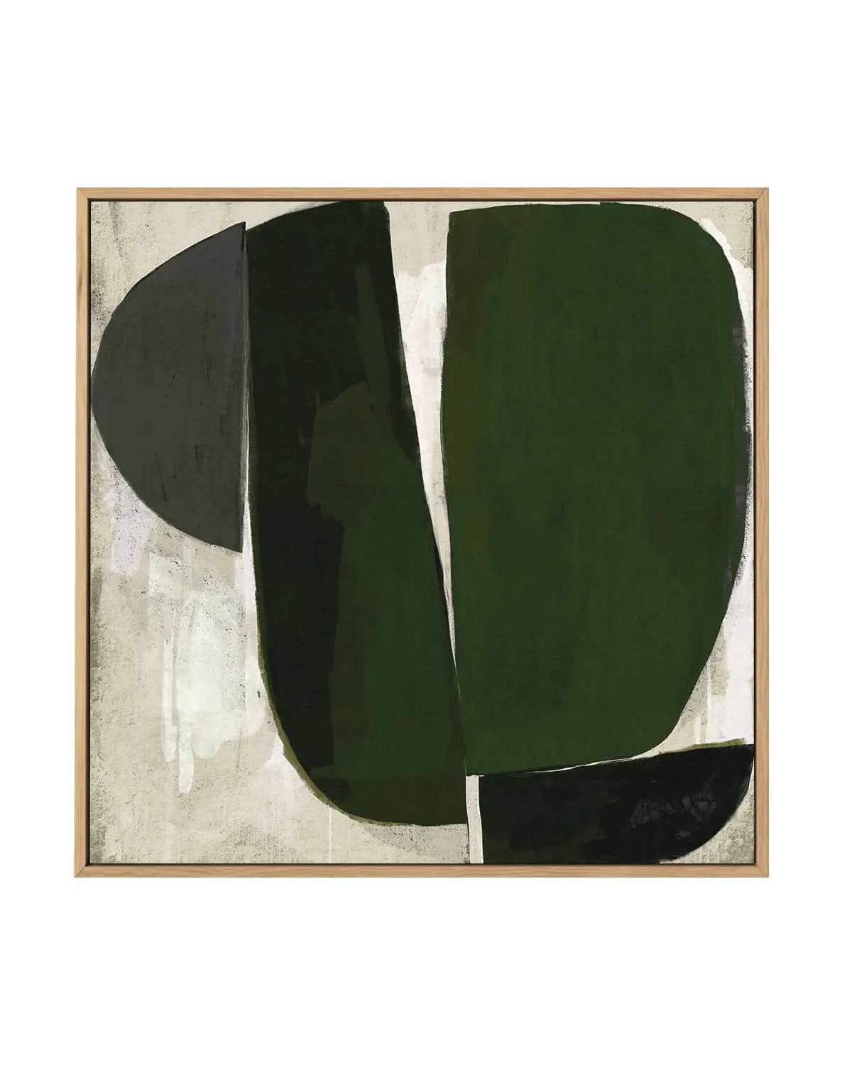 Succulent by Marco Marella | Framed Canvas Art Print from Olive et Oriel where you can shop wallpaper and artworks online