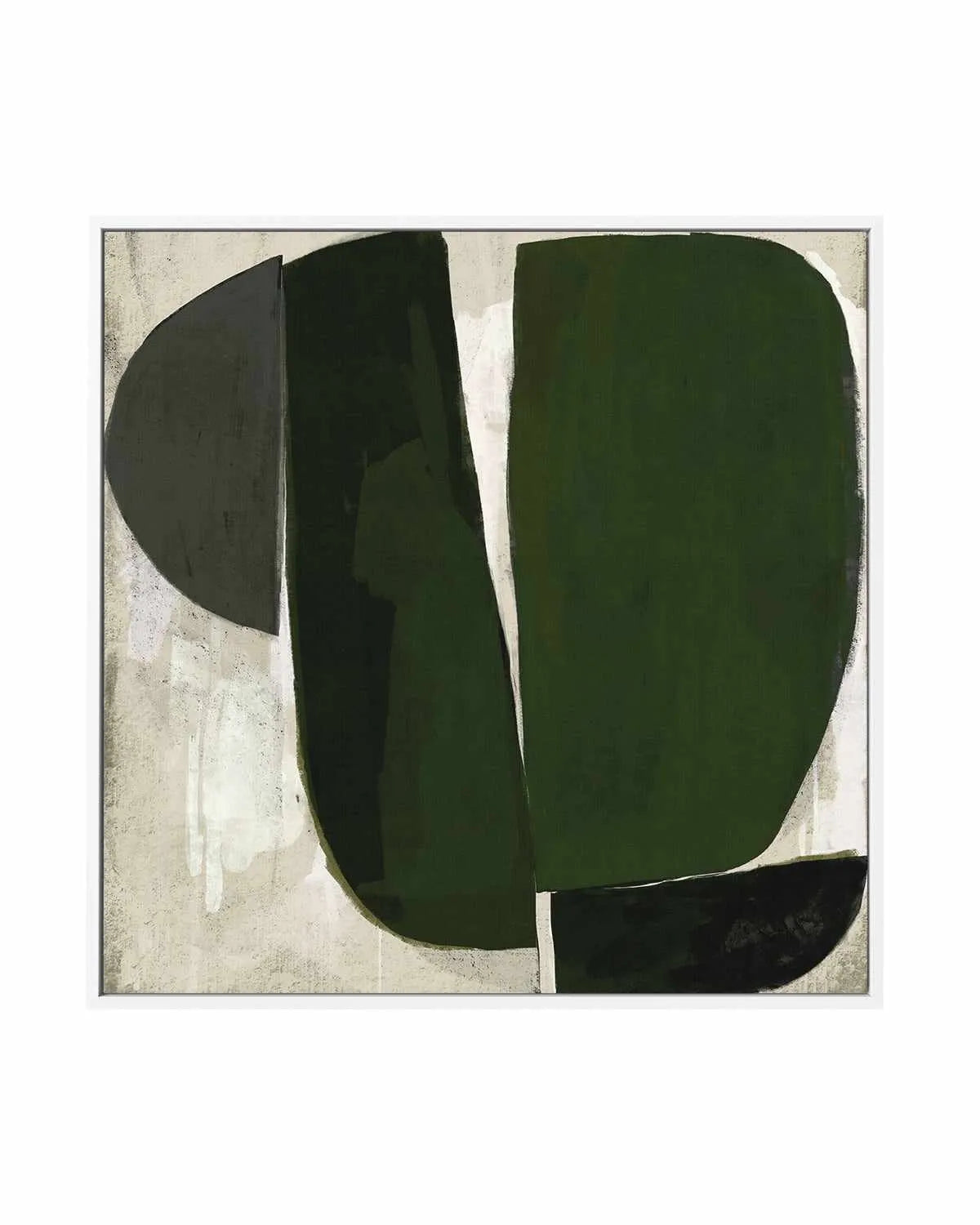 Succulent by Marco Marella | Framed Canvas Art Print from Olive et Oriel where you can shop wallpaper and artworks online