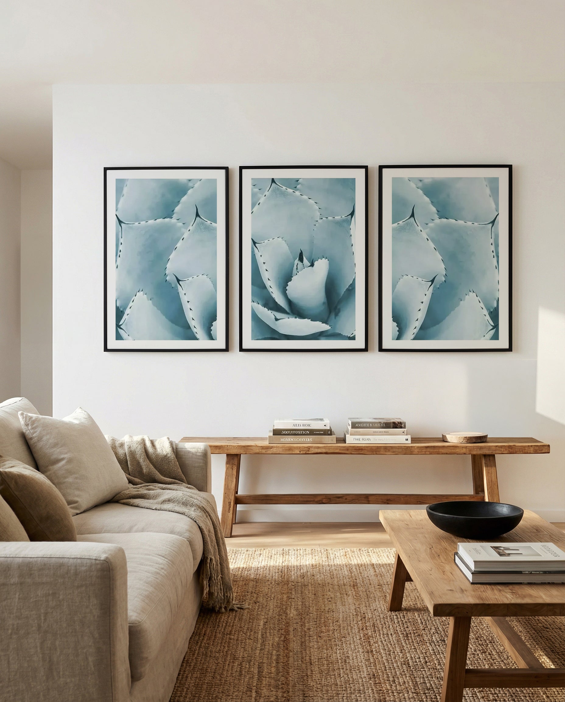 Succulent PT I, II & III | 3 Piece Wall Art Set in Blue botanical art print oak frame with white border