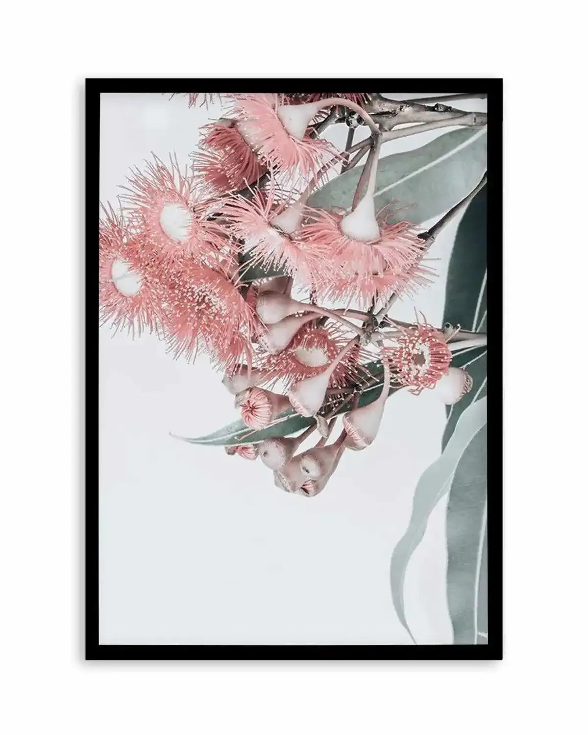 Summer Eucalyptus Art Print from Olive et Oriel where you can shop wallpaper and artworks online