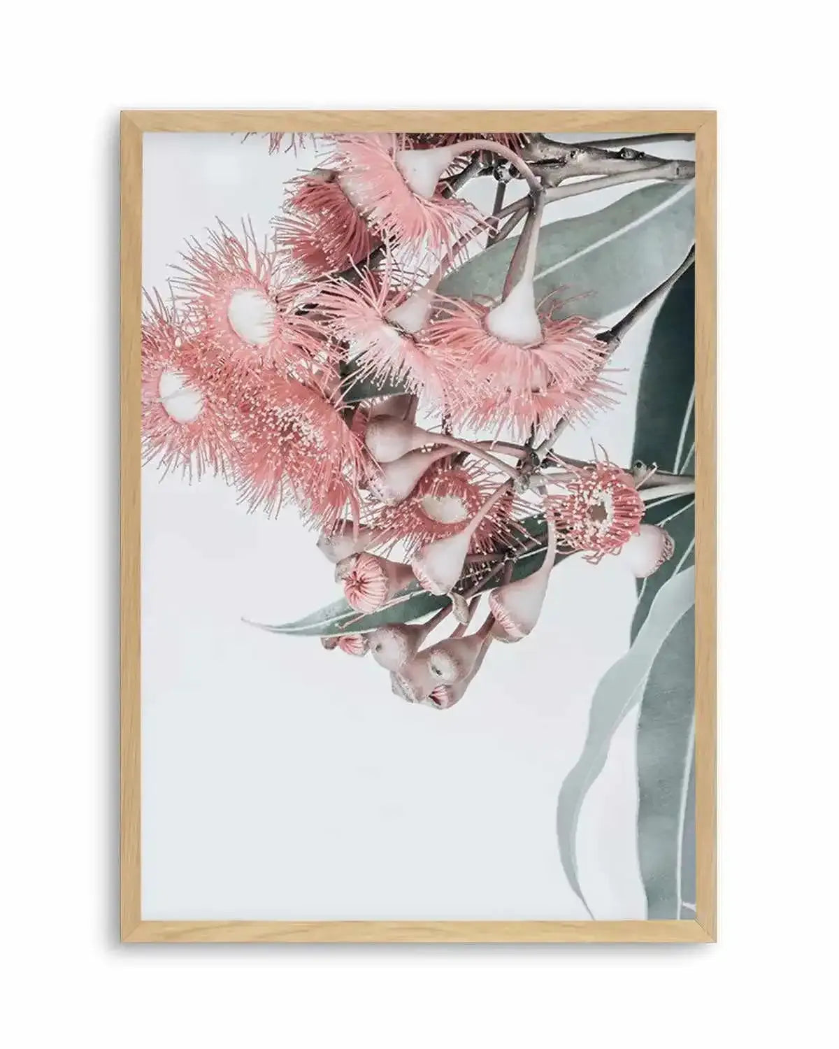Summer Eucalyptus Art Print from Olive et Oriel where you can shop wallpaper and artworks online