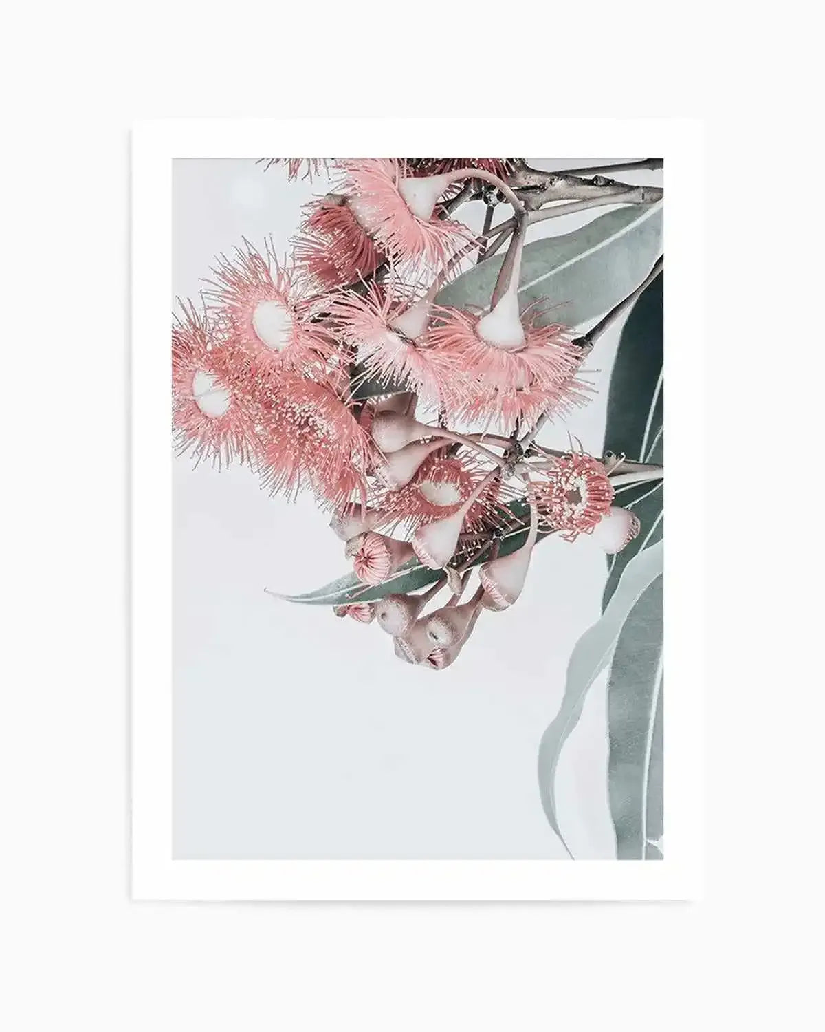 Summer Eucalyptus Art Print from Olive et Oriel where you can shop wallpaper and artworks online