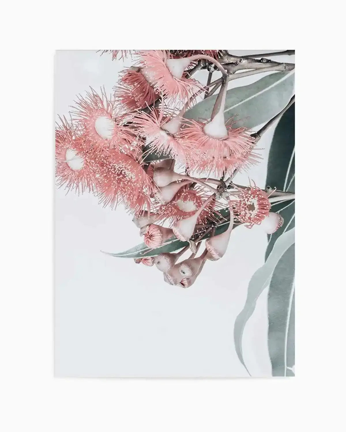 Summer Eucalyptus Art Print from Olive et Oriel where you can shop wallpaper and artworks online