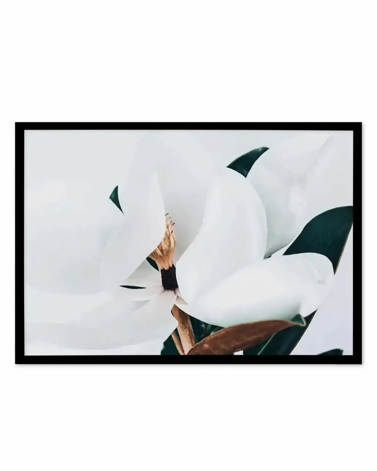 Summer Magnolia | LS Art Print from Olive et Oriel where you can shop wallpaper and artworks online