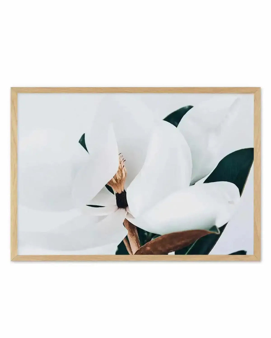 Summer Magnolia | LS Art Print from Olive et Oriel where you can shop wallpaper and artworks online