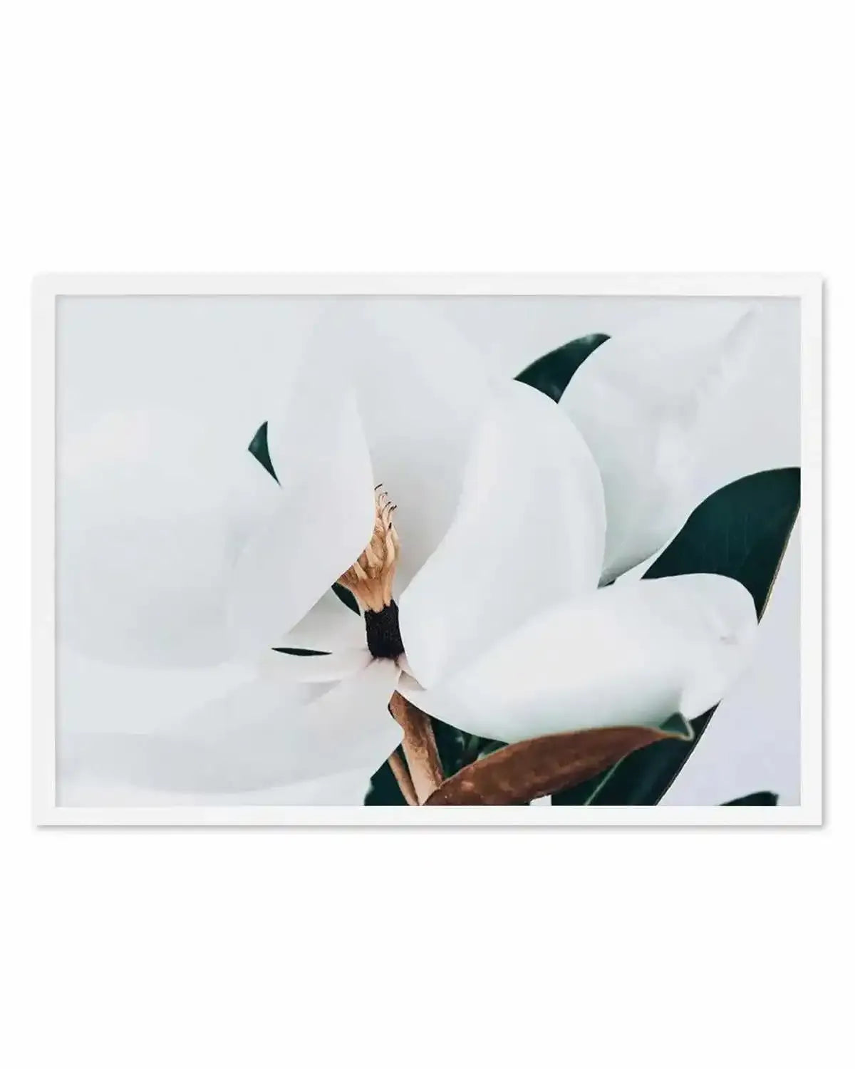 Summer Magnolia | LS Art Print from Olive et Oriel where you can shop wallpaper and artworks online