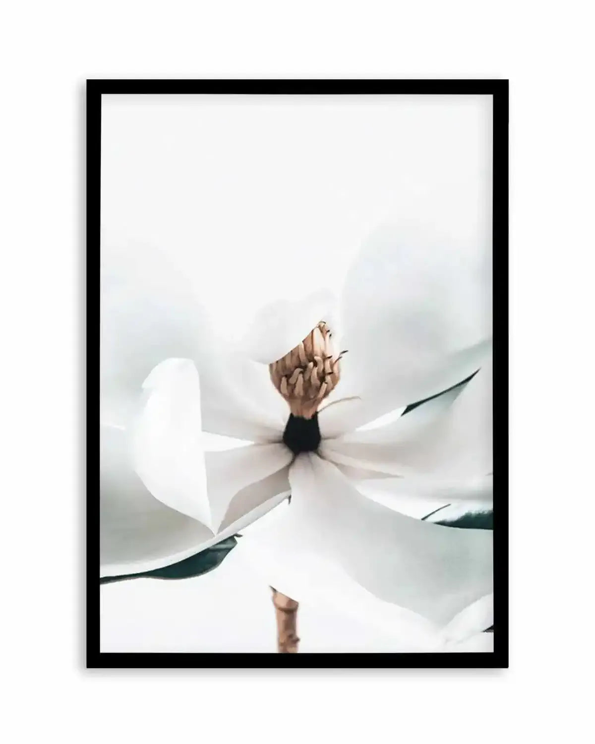 Summer Magnolia | PT Art Print from Olive et Oriel where you can shop wallpaper and artworks online