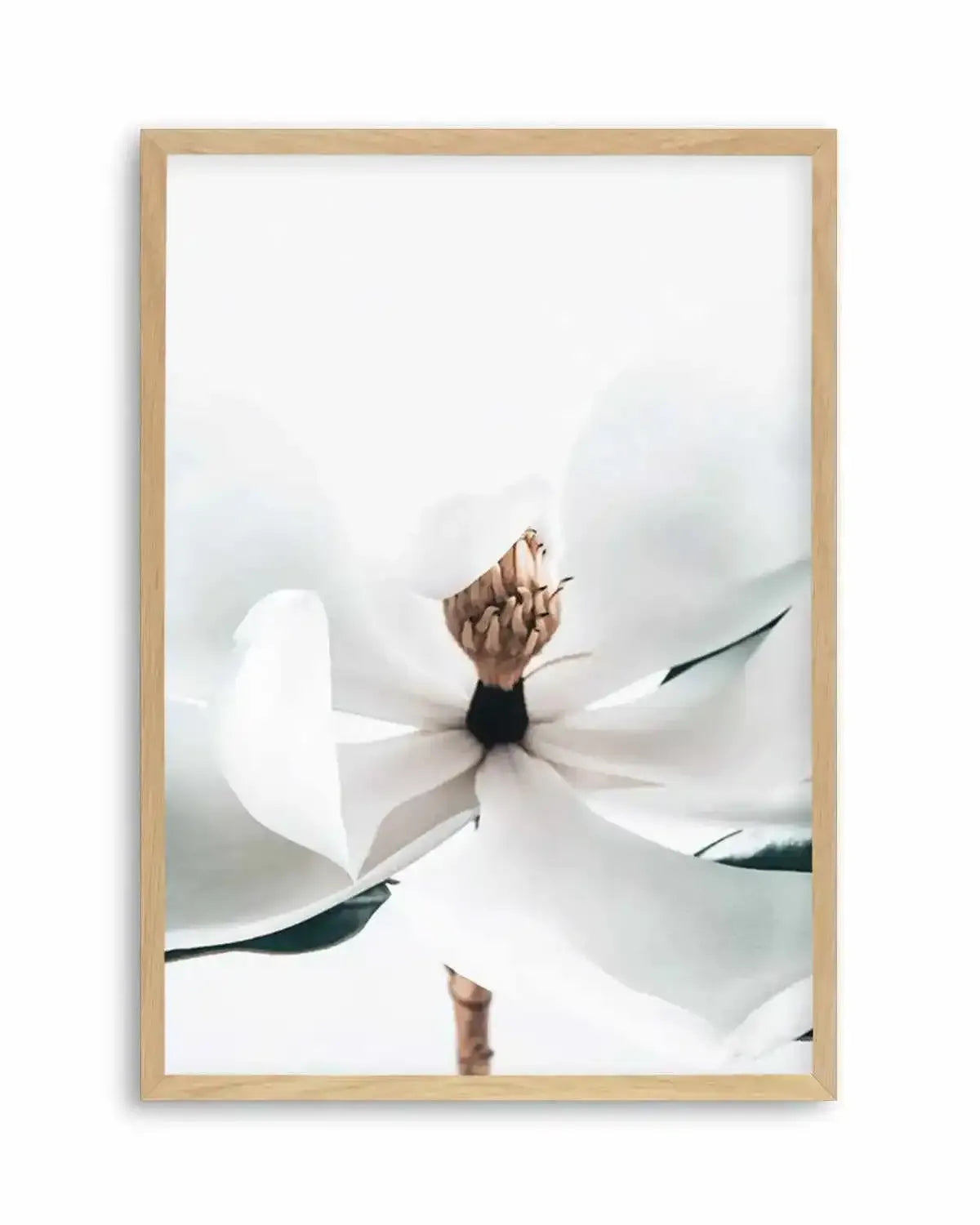 Summer Magnolia | PT Art Print from Olive et Oriel where you can shop wallpaper and artworks online