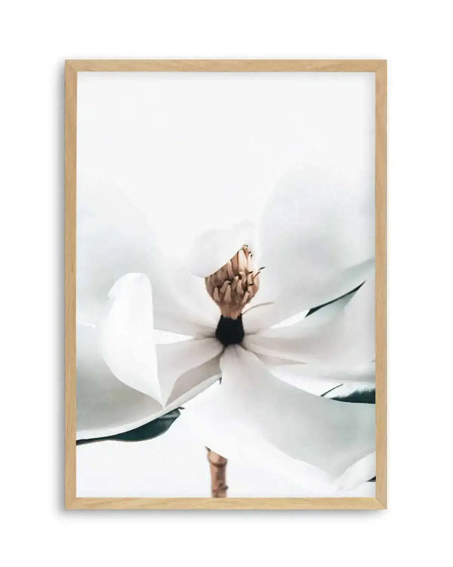 Summer Magnolia | PT Art Print from Olive et Oriel where you can shop wallpaper and artworks online