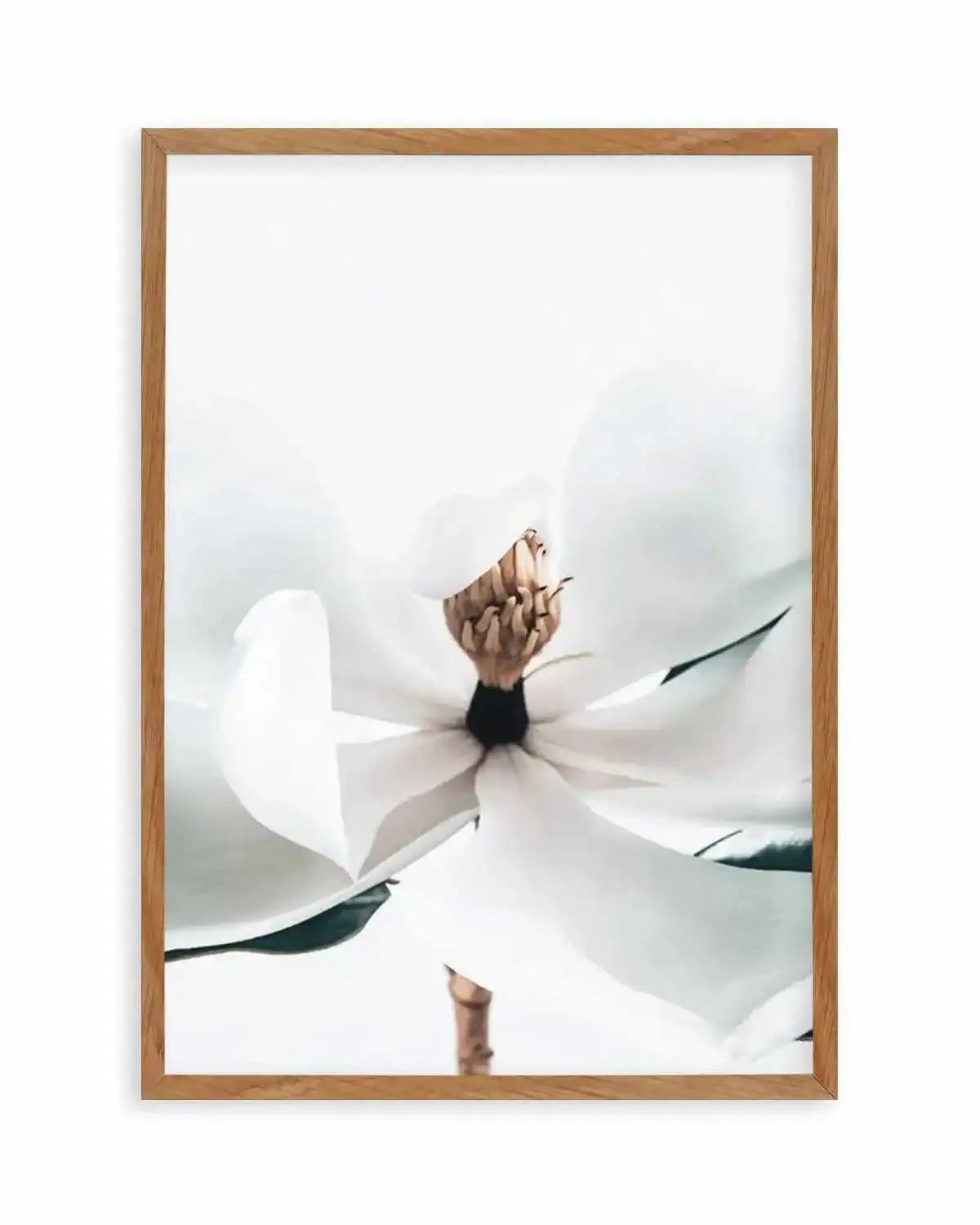 Summer Magnolia | PT Art Print from Olive et Oriel where you can shop wallpaper and artworks online