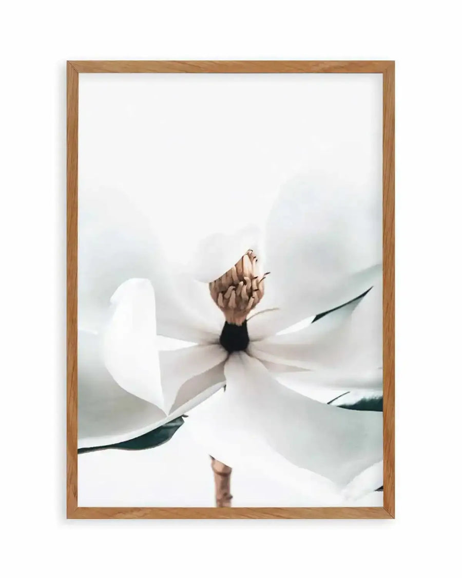 Summer Magnolia | PT Art Print from Olive et Oriel where you can shop wallpaper and artworks online
