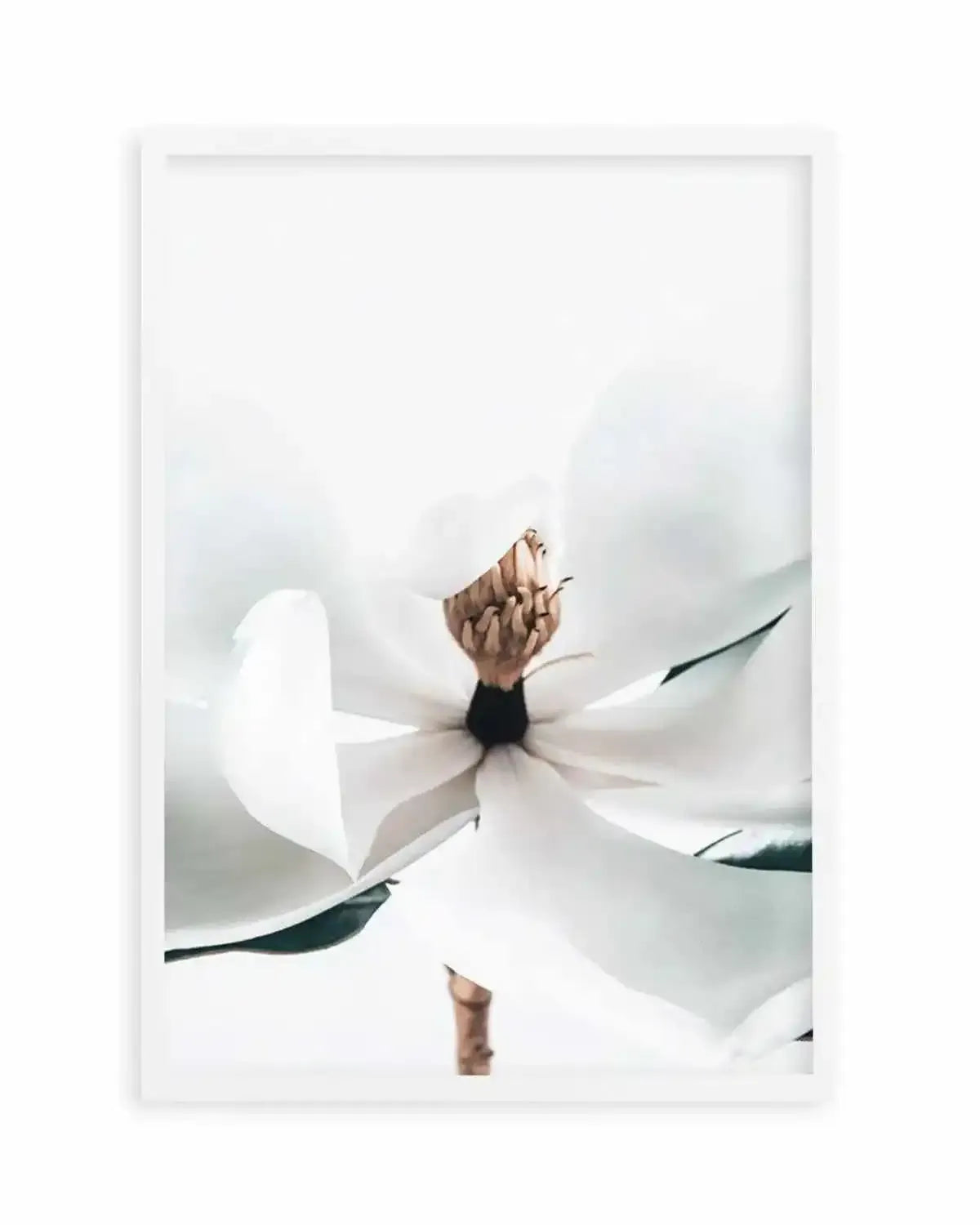 Summer Magnolia | PT Art Print from Olive et Oriel where you can shop wallpaper and artworks online