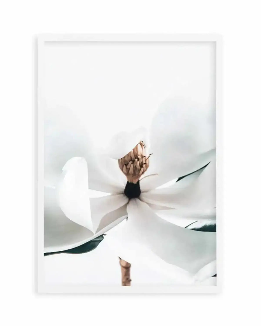 Summer Magnolia | PT Art Print from Olive et Oriel where you can shop wallpaper and artworks online