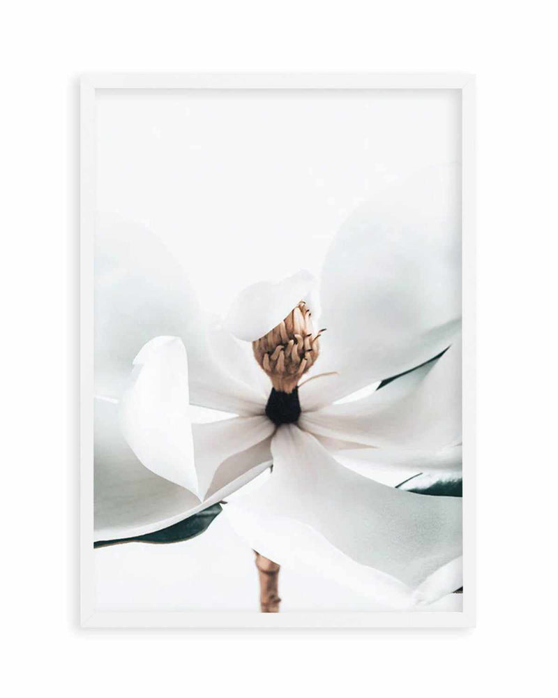 Summer Magnolia | PT Art Print