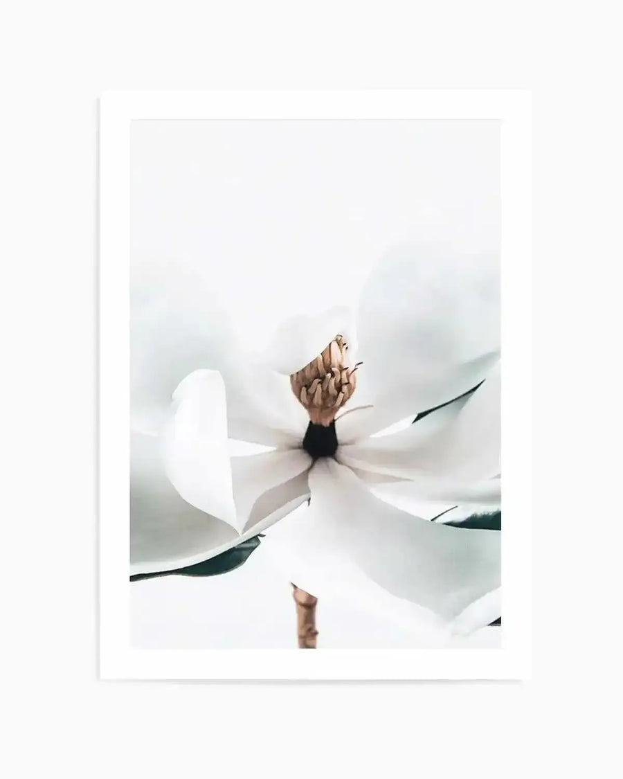 Summer Magnolia | PT Art Print from Olive et Oriel where you can shop wallpaper and artworks online