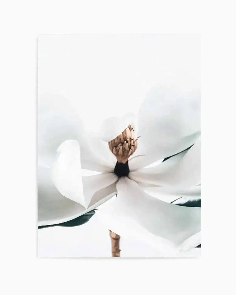 Summer Magnolia | PT Art Print from Olive et Oriel where you can shop wallpaper and artworks online