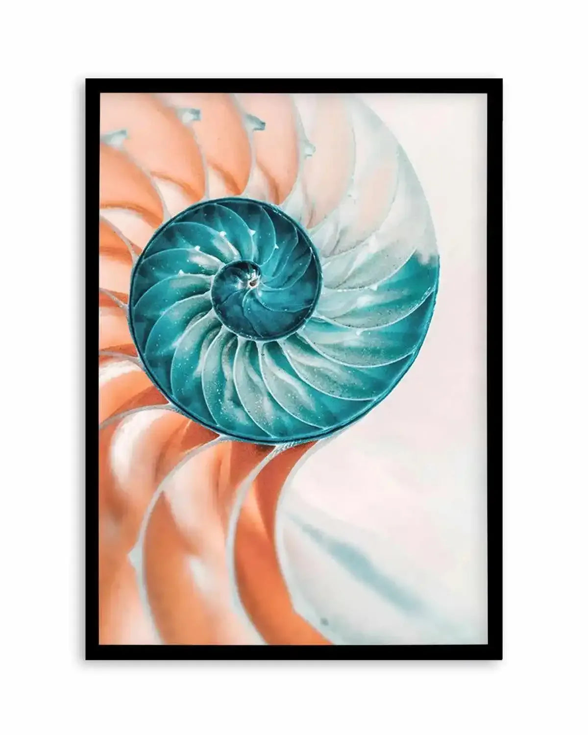 Summer Nautilus Art Print from Olive et Oriel where you can shop wallpaper and artworks online