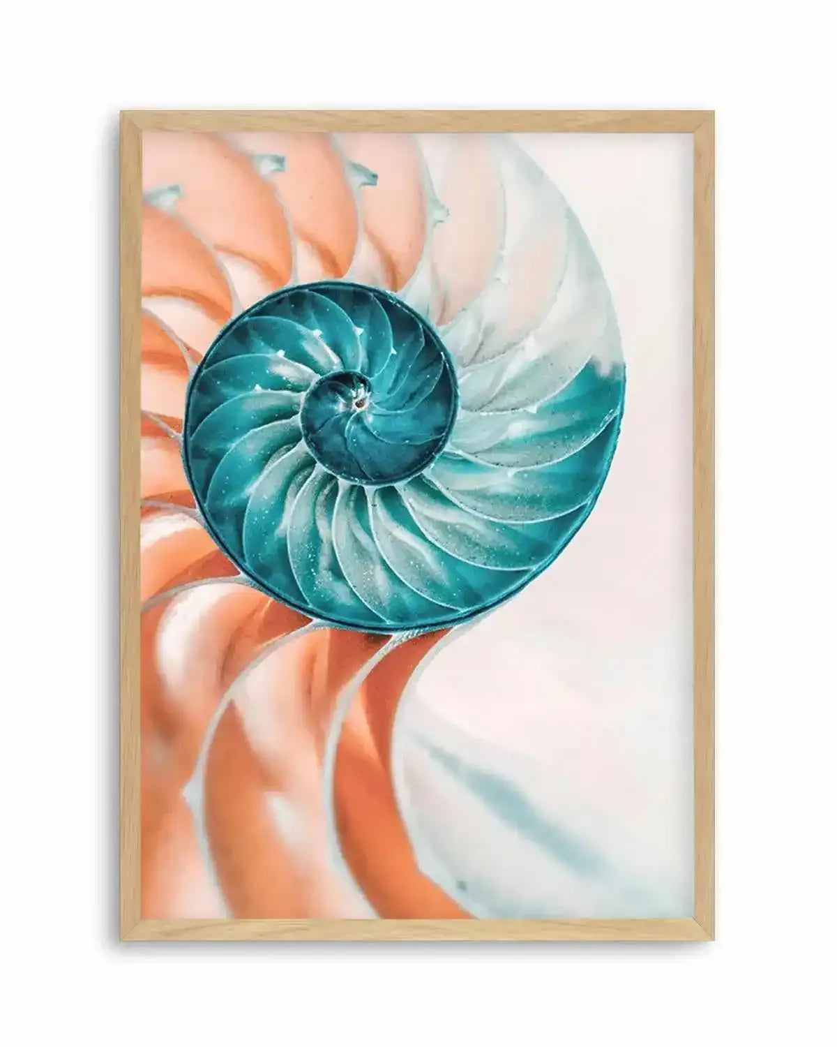 Summer Nautilus Art Print from Olive et Oriel where you can shop wallpaper and artworks online