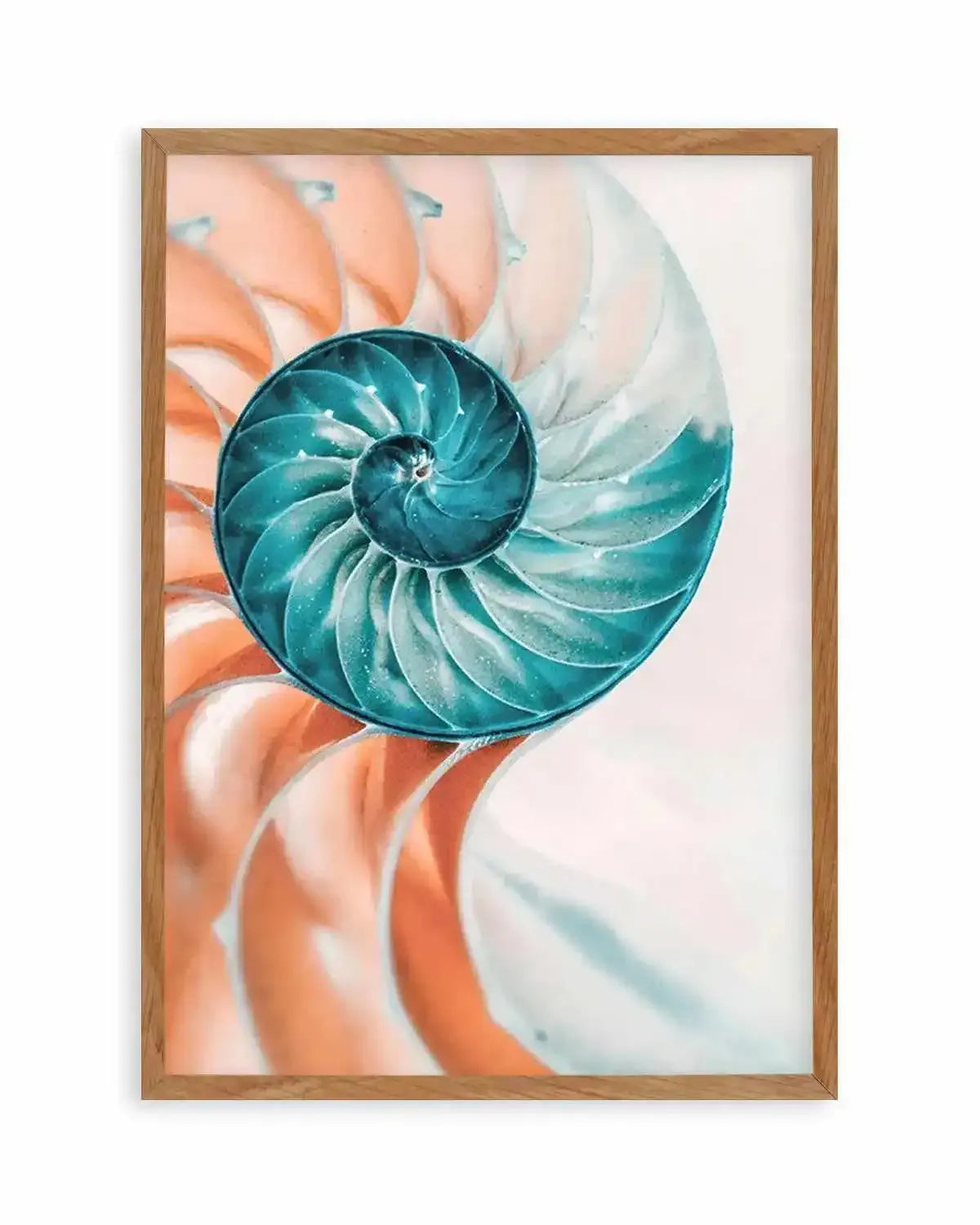 Summer Nautilus Art Print from Olive et Oriel where you can shop wallpaper and artworks online