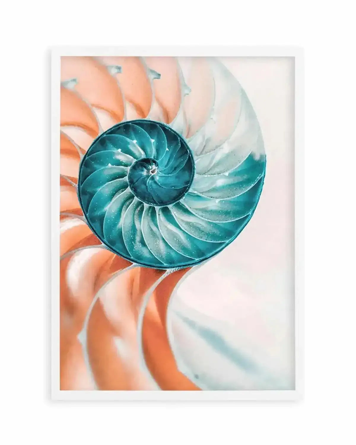 Summer Nautilus Art Print from Olive et Oriel where you can shop wallpaper and artworks online