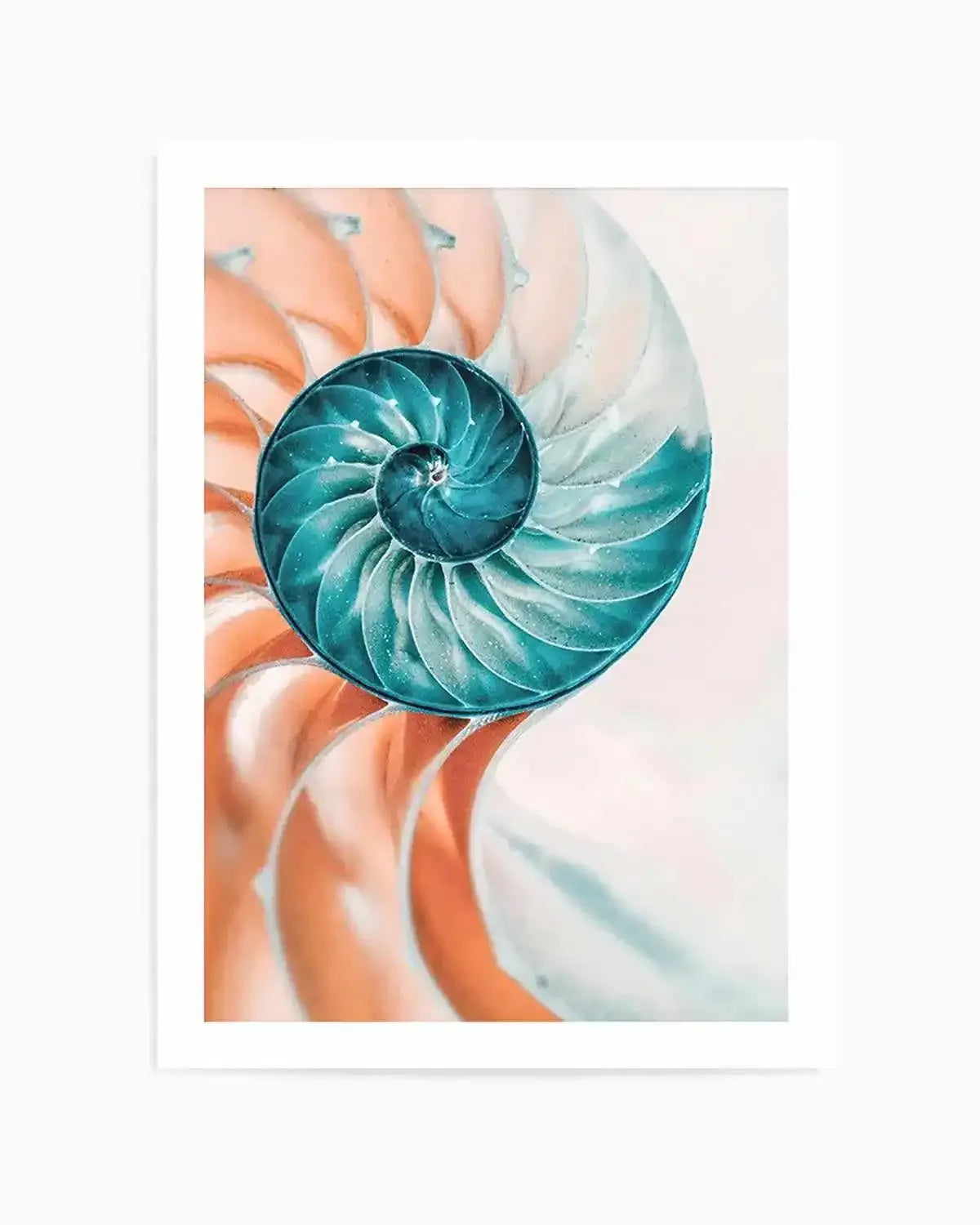 Summer Nautilus Art Print from Olive et Oriel where you can shop wallpaper and artworks online