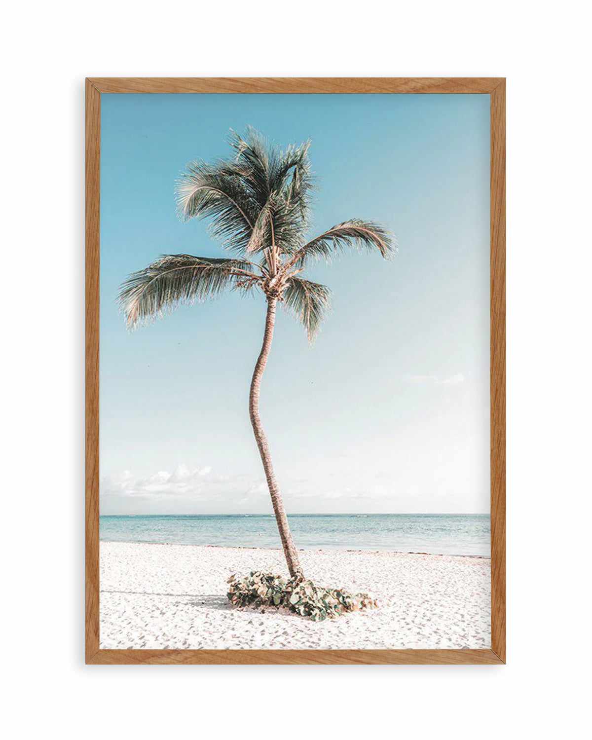 Summer Palm Art Print