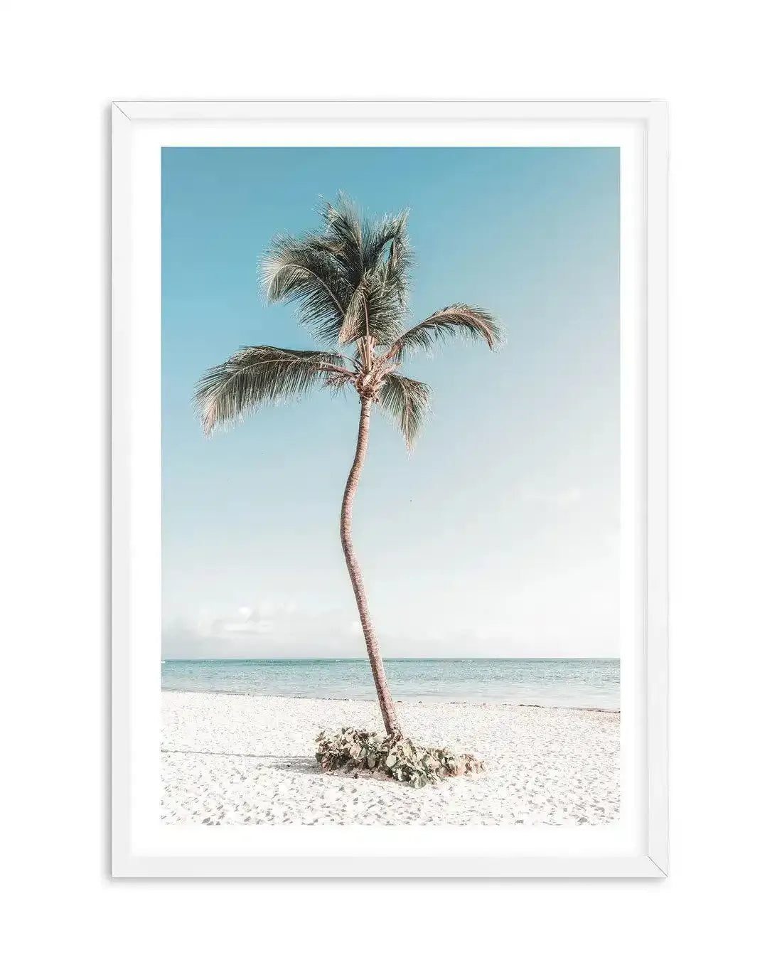 Summer Palm Art Print-PRINT-Olive et Oriel-Olive et Oriel-A5 | 5.8" x 8.3" | 14.8 x 21cm-White-With White Border-Buy-Australian-Art-Prints-Online-with-Olive-et-Oriel-Your-Artwork-Specialists-Austrailia-Decorate-With-Coastal-Photo-Wall-Art-Prints-From-Our-Beach-House-Artwork-Collection-Fine-Poster-and-Framed-Artwork