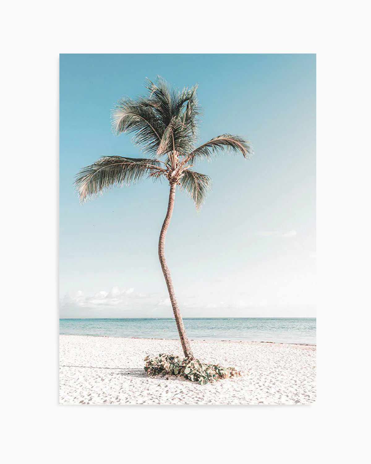 Summer Palm Art Print