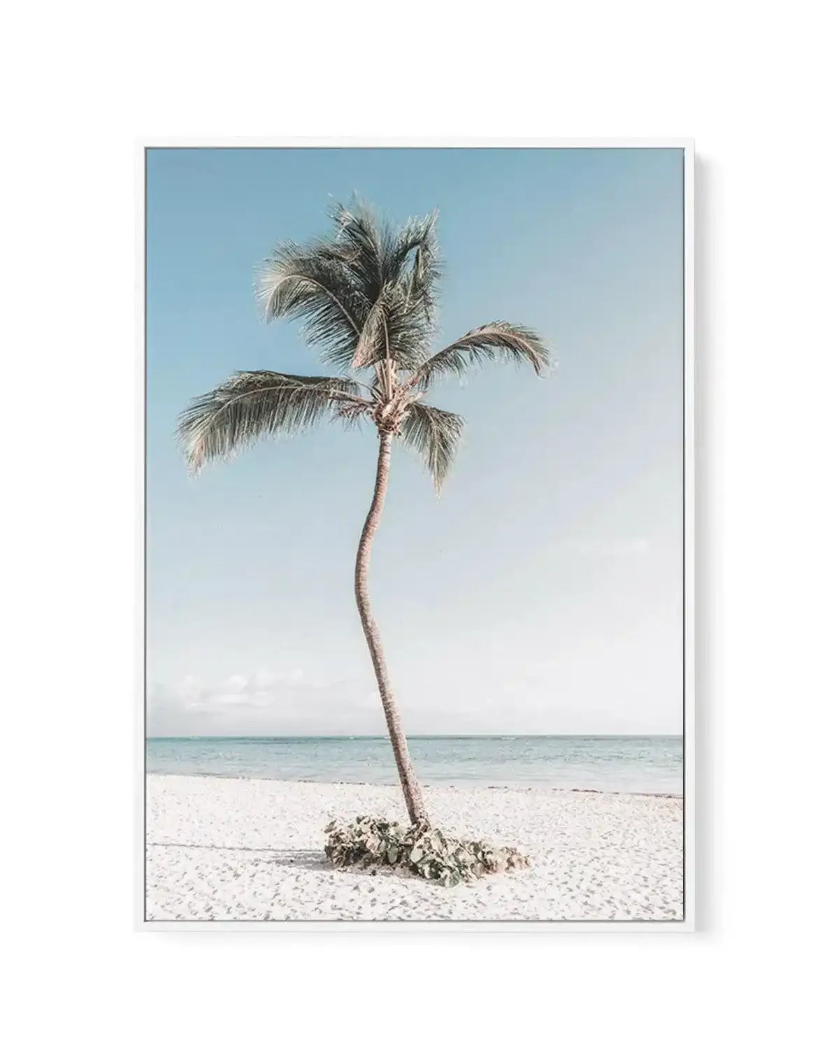 Summer Palm | Framed Canvas-CANVAS-You can shop wall art online with Olive et Oriel for everything from abstract art to fun kids wall art. Our beautiful modern art prints and canvas art are available from large canvas prints to wall art paintings and our proudly Australian artwork collection offers only the highest quality framed large wall art and canvas art Australia - You can buy fashion photography prints or Hampton print posters and paintings on canvas from Olive et Oriel and have them deli