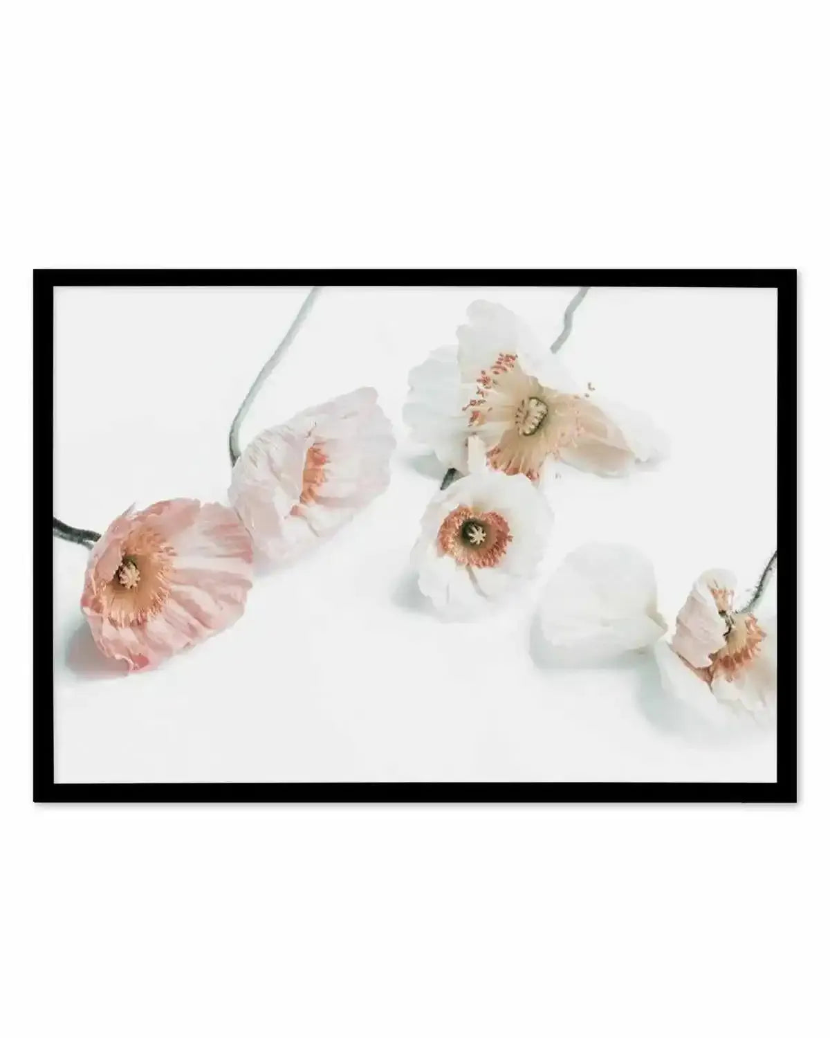 Summer Poppies I | LS Art Print from Olive et Oriel where you can shop wallpaper and artworks online