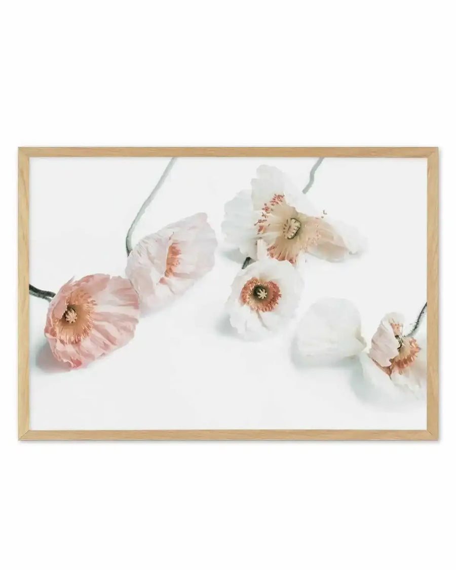Summer Poppies I | LS Art Print from Olive et Oriel where you can shop wallpaper and artworks online