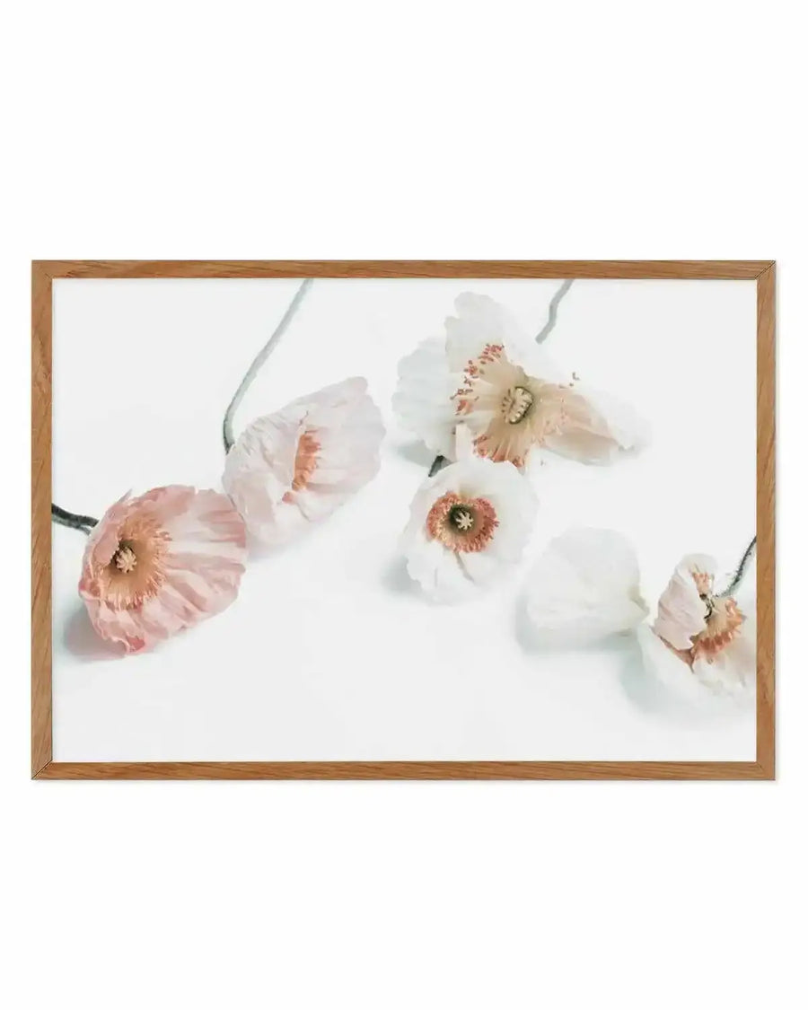 Summer Poppies I | LS Art Print from Olive et Oriel where you can shop wallpaper and artworks online