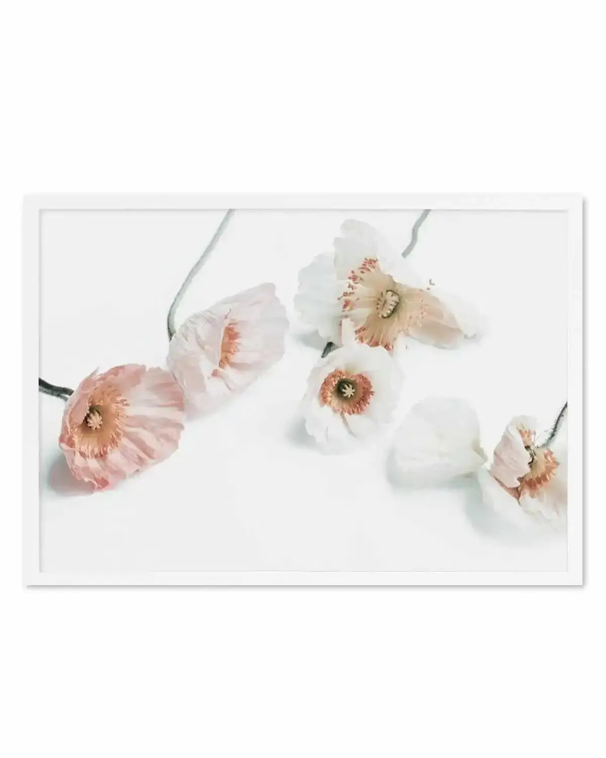 Summer Poppies I | LS Art Print from Olive et Oriel where you can shop wallpaper and artworks online