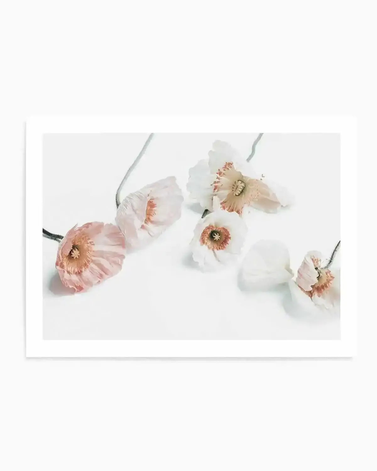 Summer Poppies I | LS Art Print from Olive et Oriel where you can shop wallpaper and artworks online