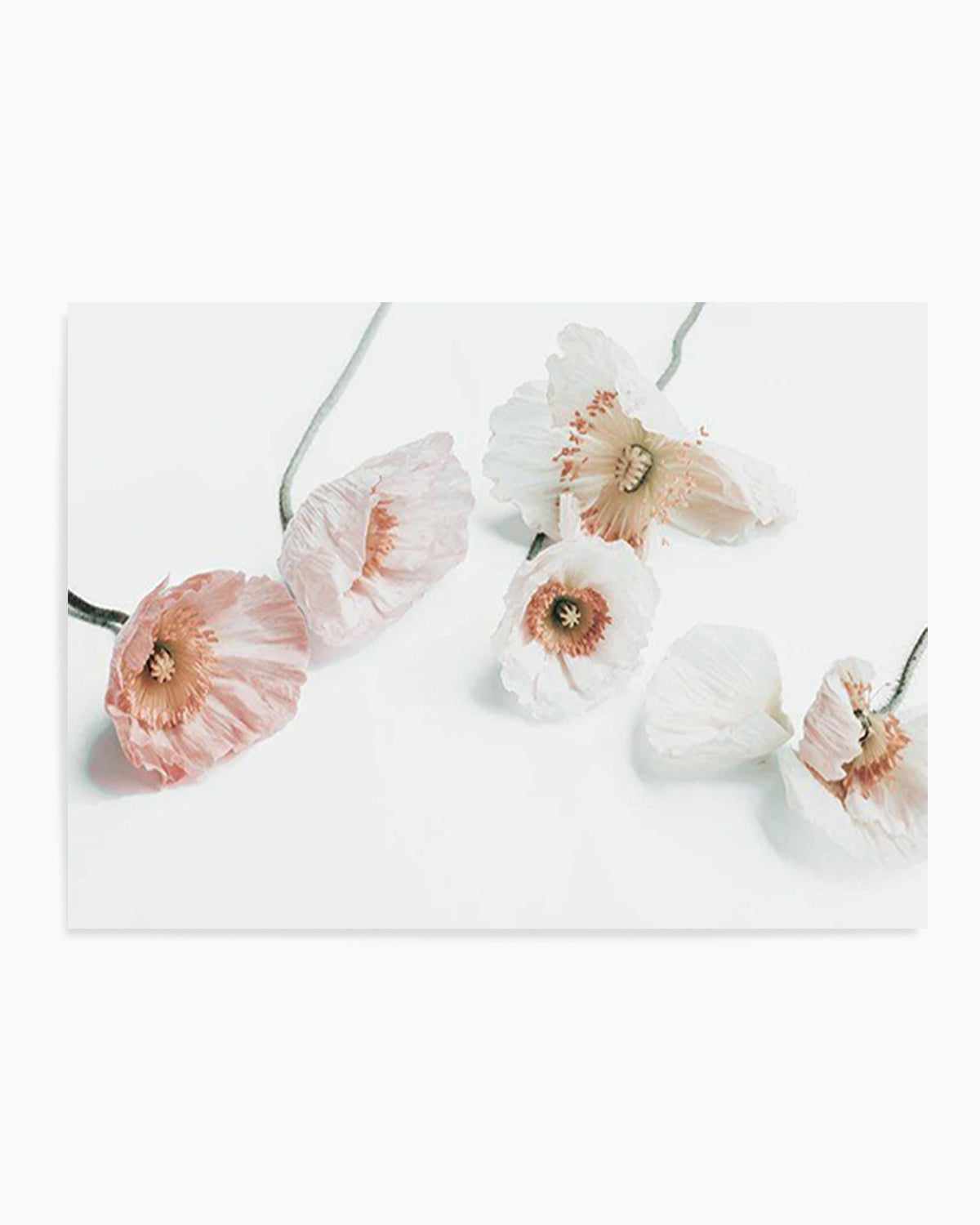 Summer Poppies I | LS Art Print