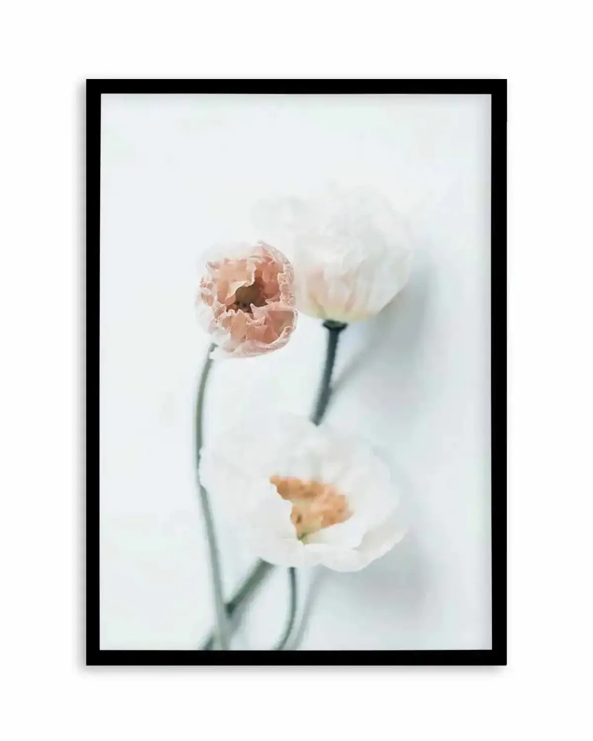 Summer Poppies I | PT Art Print from Olive et Oriel where you can shop wallpaper and artworks online