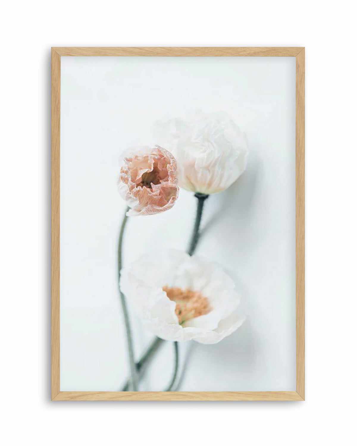 Summer Poppies I | PT Art Print