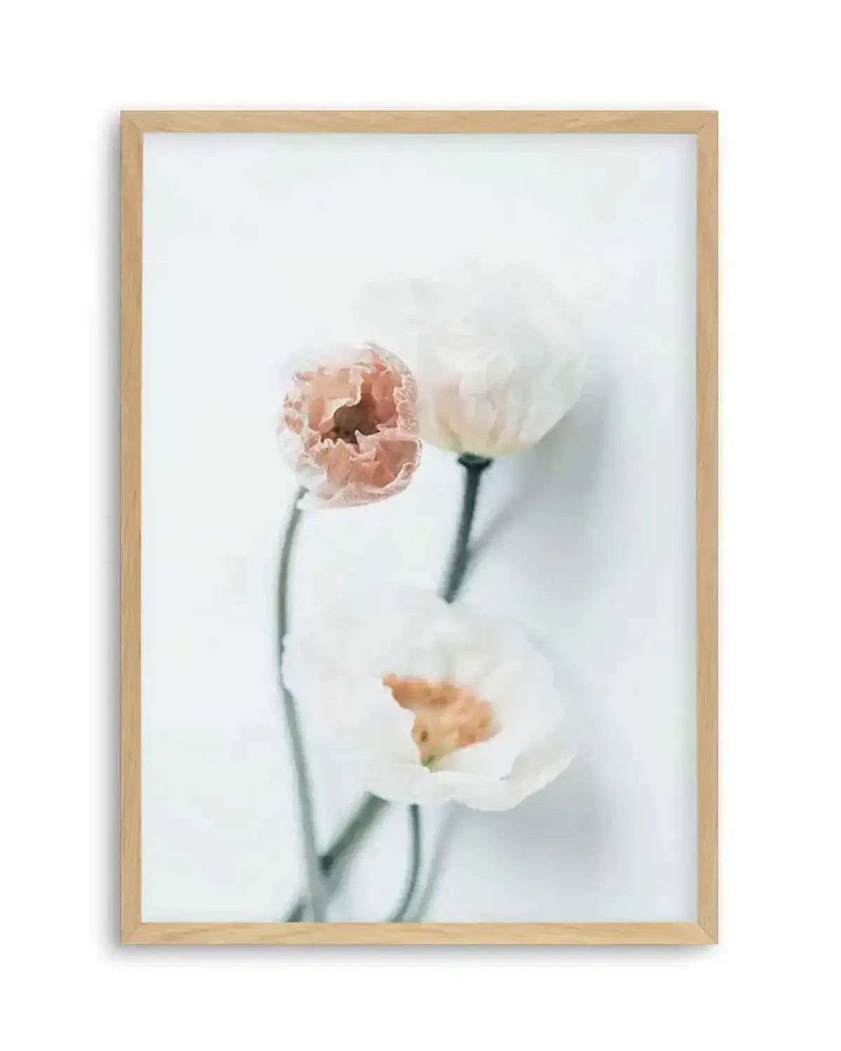 Summer Poppies I | PT Art Print from Olive et Oriel where you can shop wallpaper and artworks online