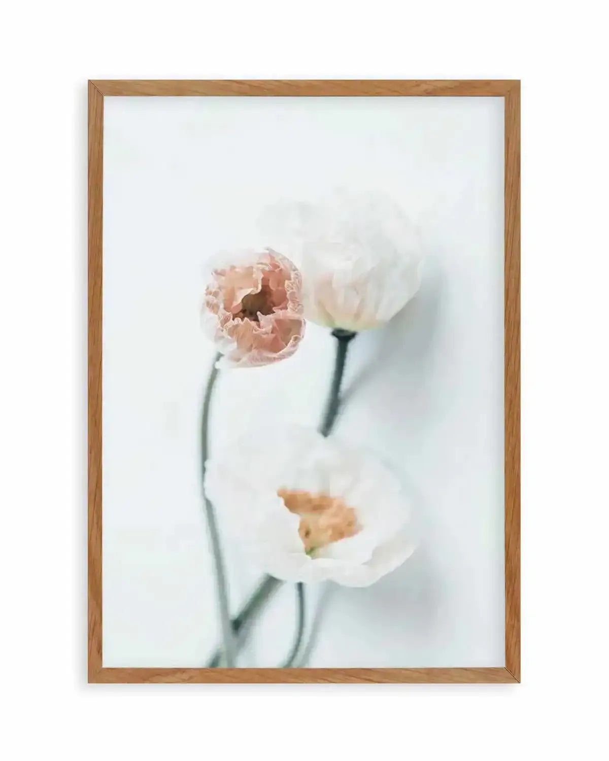Summer Poppies I | PT Art Print from Olive et Oriel where you can shop wallpaper and artworks online